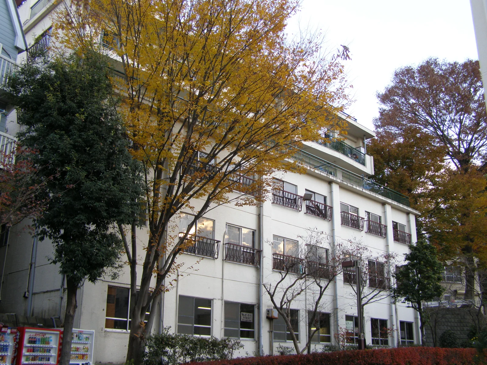 建物の外観。まわりは緑の多い住宅街です