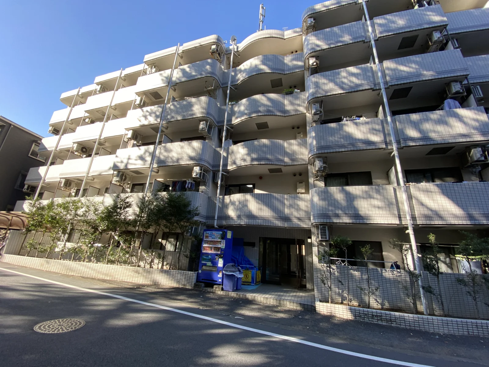 建物の外観。鉄筋5階建てです