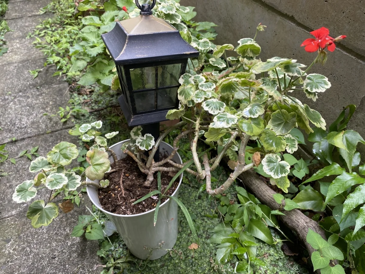 荻窪 KiKi