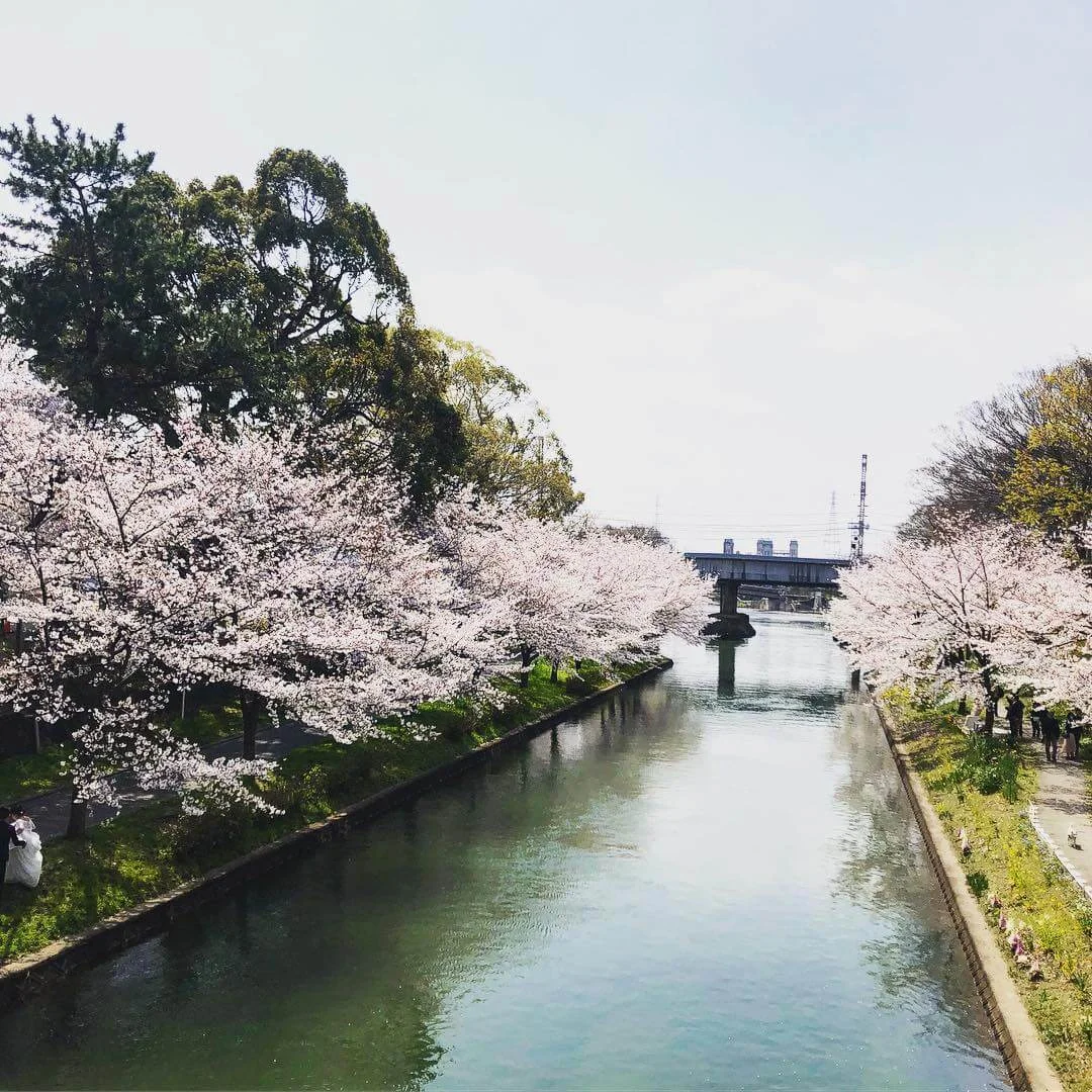 京都 伏見シェアハウス