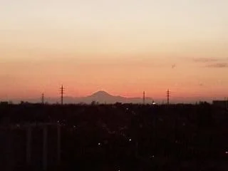 ソニアンハウス