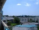 ソニアンハウス