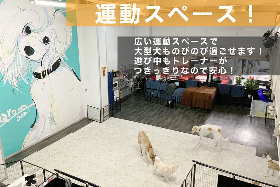 ペット施設の充実ハウス