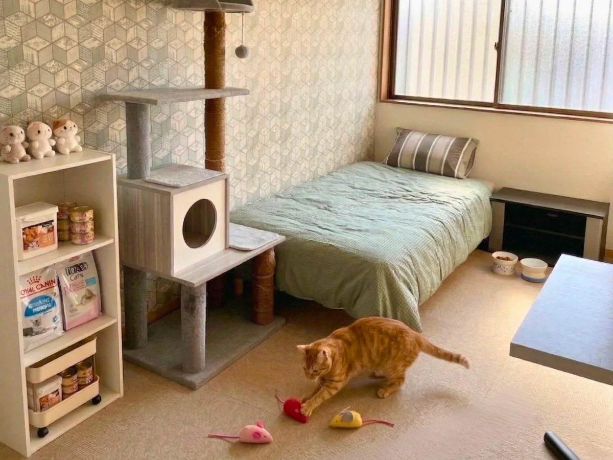 床材は動物の足に優しいタイルカーペットです。