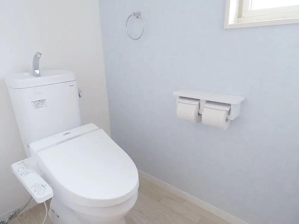 Toilet