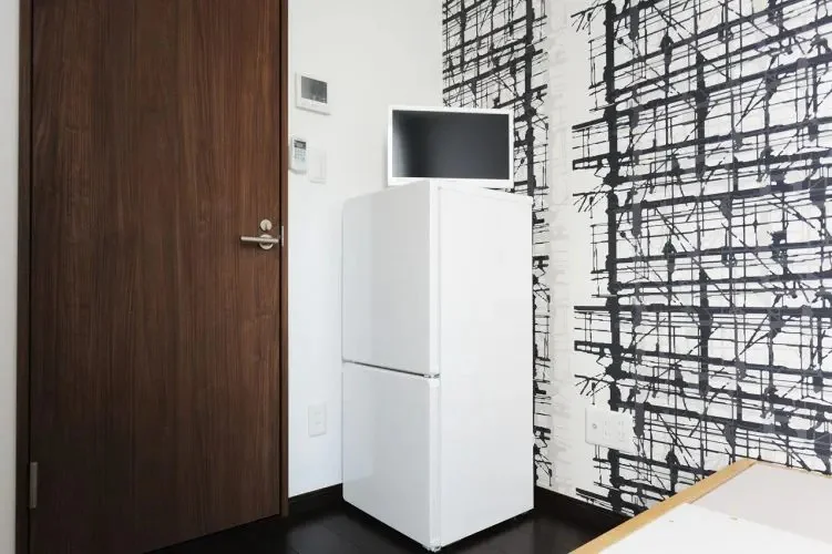 Refrigerator and TV