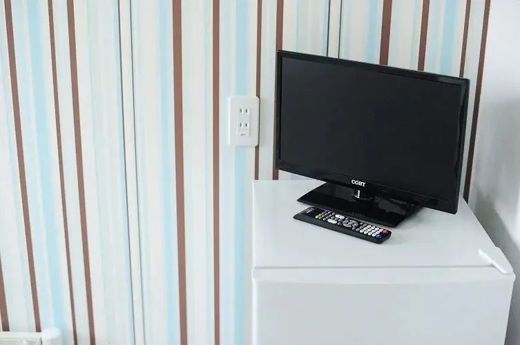 TV and Refrigerator