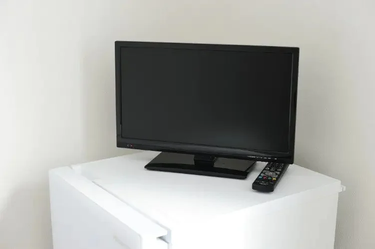 TV and refrigerator