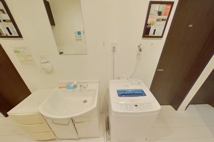 Sink and washing machine