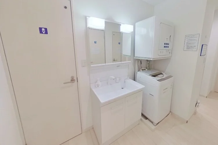 Vanity and washing machine