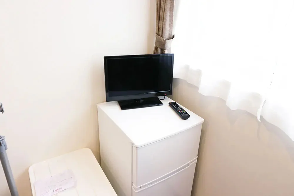 Refrigerator and TV