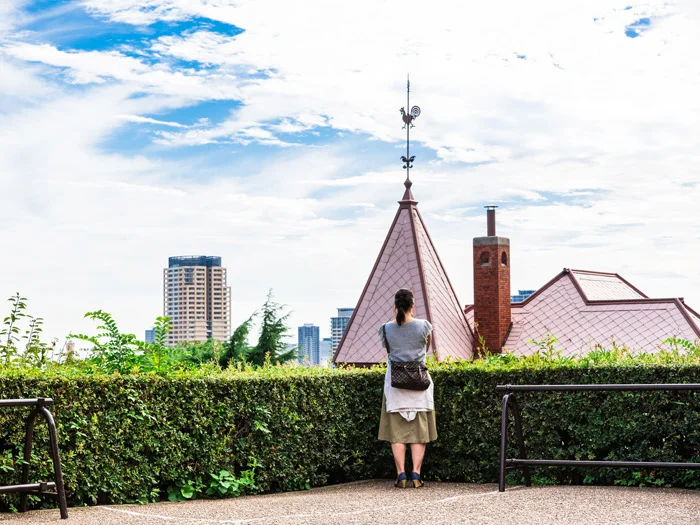Hyogo: A historic city featuring rich nature, stylish areas, and a vast landscape.