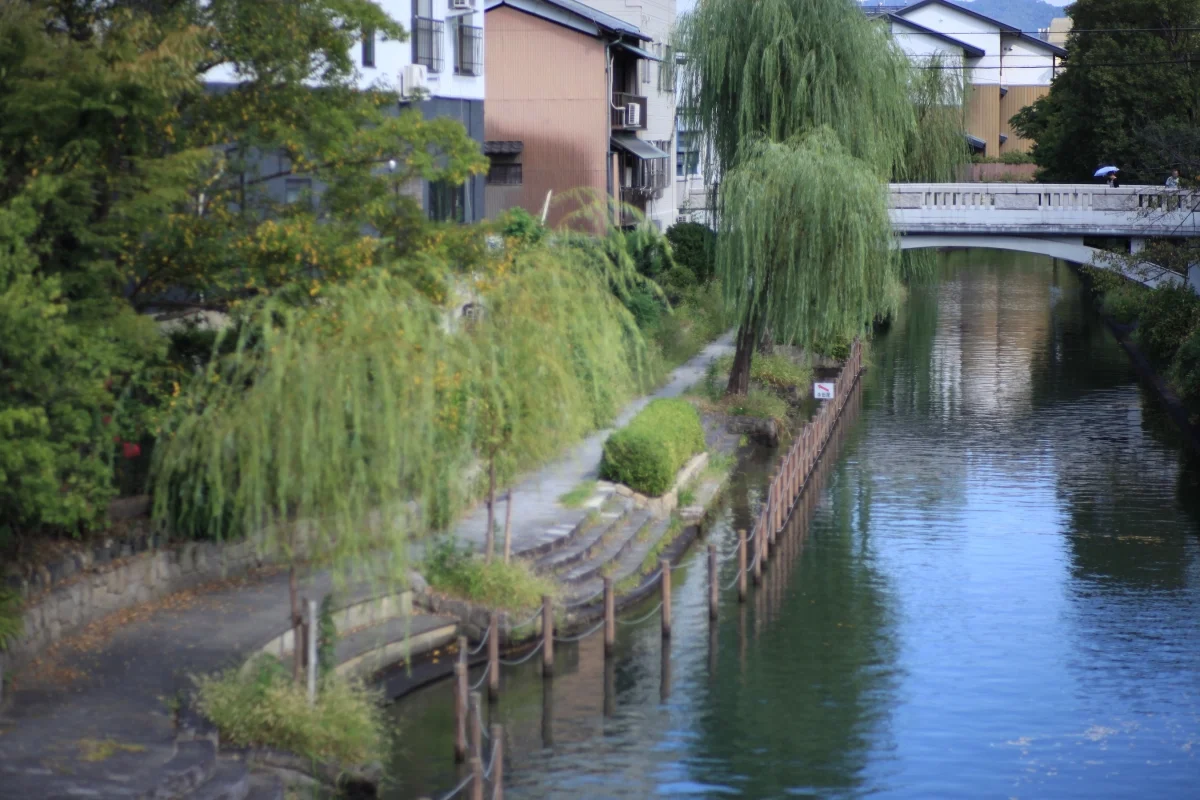 京都 伏見シェアハウス のスナップ写真