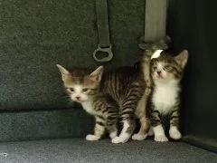 シェアハウス小台 のスナップ写真