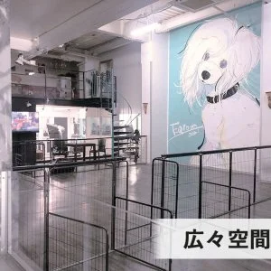 重量鉄骨で耐震性抜群・ジム付きペット可のシェアハウス のスナップ写真 — わん・にゃん大満足シェアハウス 広々、施設充実、 トリミング、しつけ、ホテル、カフェetc. スタッフ同時募集ですので、