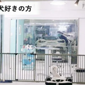 重量鉄骨で耐震性抜群・ジム付きペット可のシェアハウス のスナップ写真 — わん・にゃん大満足シェアハウス 広々、施設充実、 トリミング、しつけ、ホテル、カフェetc. スタッフ同時募集ですので、