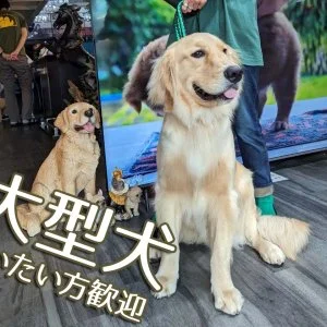 重量鉄骨で耐震性抜群・ジム付きペット可のシェアハウス のスナップ写真 — 大型犬もOKです！