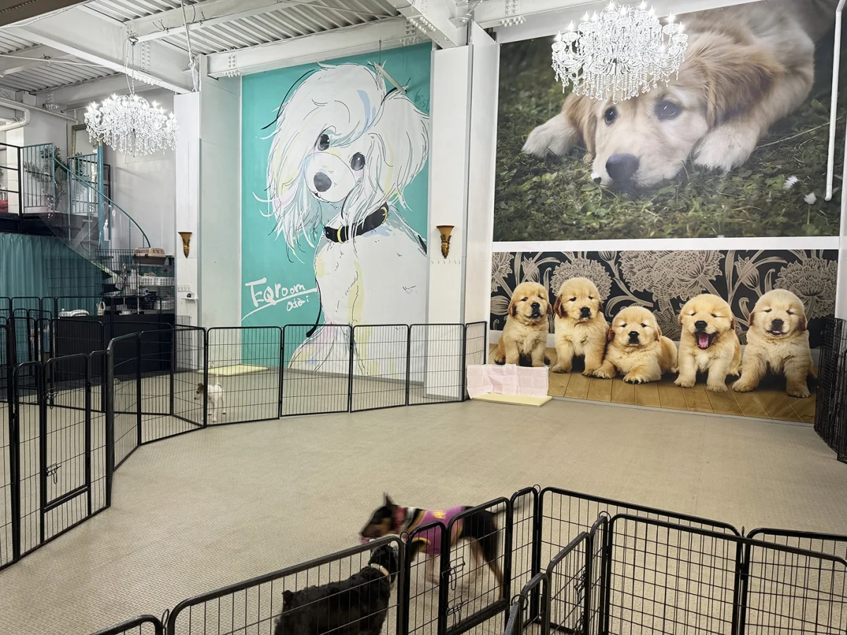 ペット施設の充実ハウス のスナップ写真 — 大型犬を飼っている方、飼いたい方のためのシェアハウスです