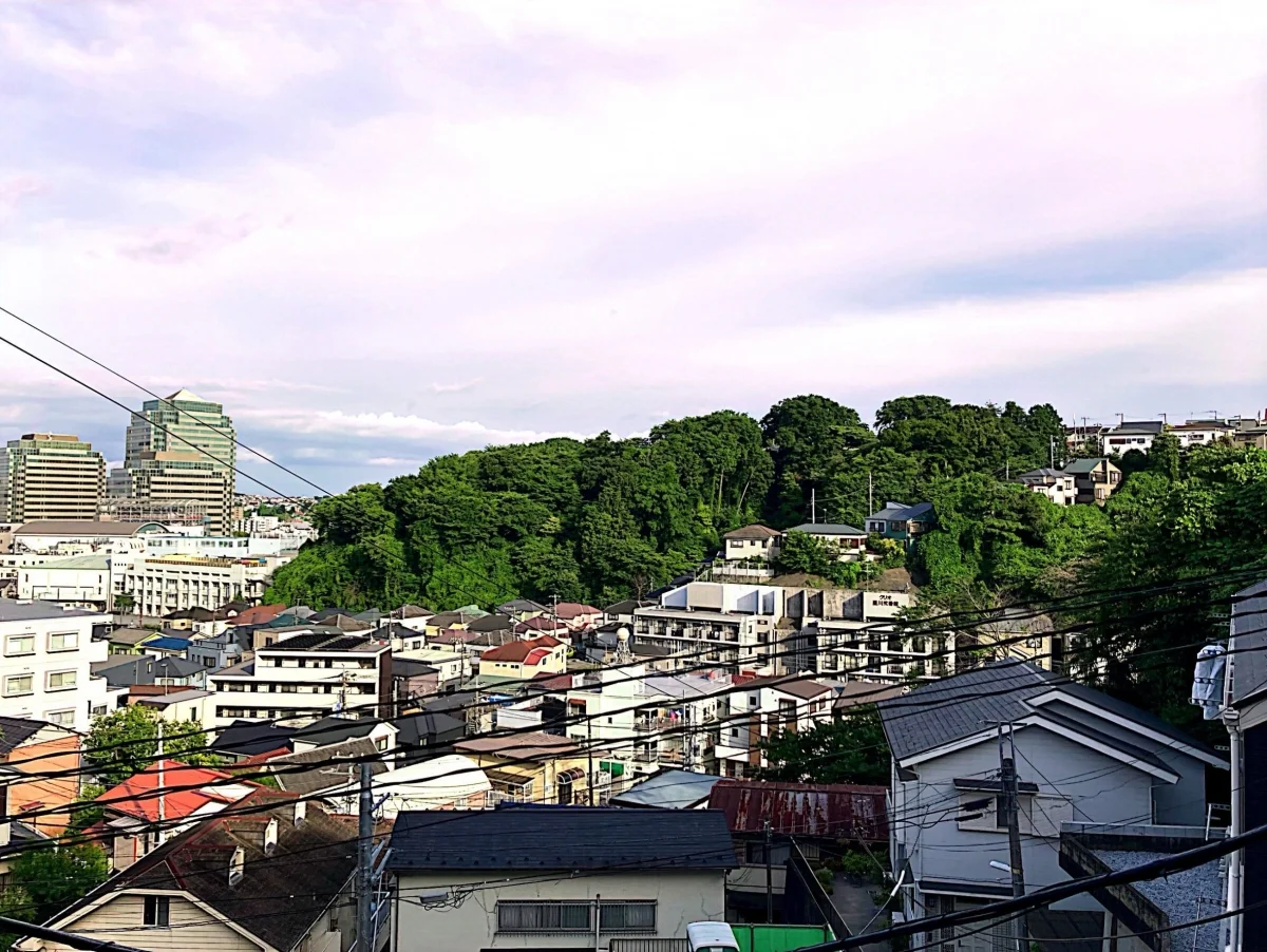 プチハウス星川 のスナップ写真 — ハウスから見えるスカイビュー。景色が爽快です！！