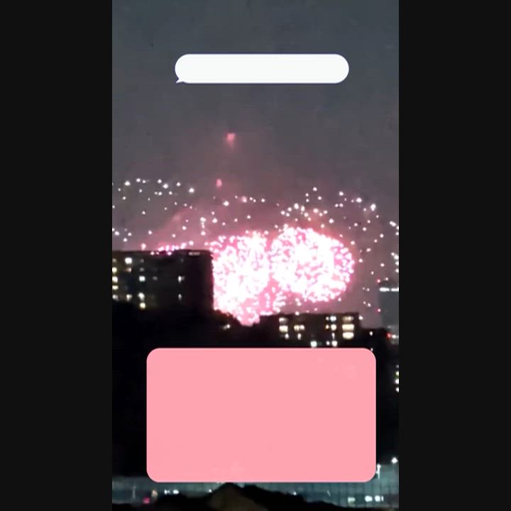 にゃんこの森横浜 のスナップ動画
