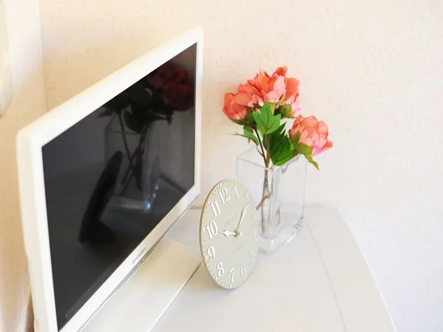 テレビ