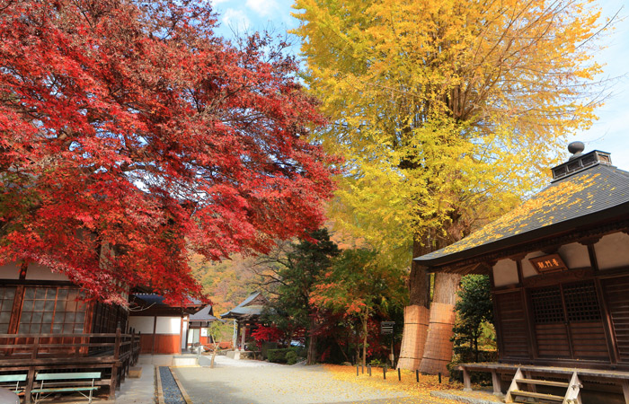 吉祥寺