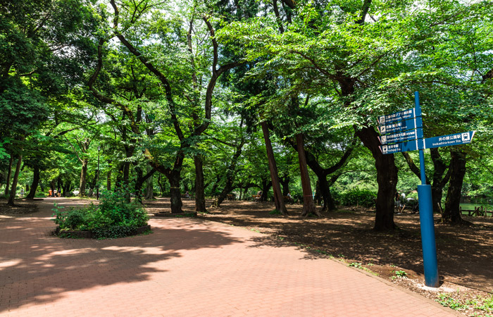 井之頭公園