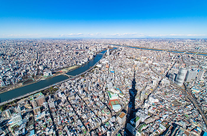 スカイツリーと住宅街